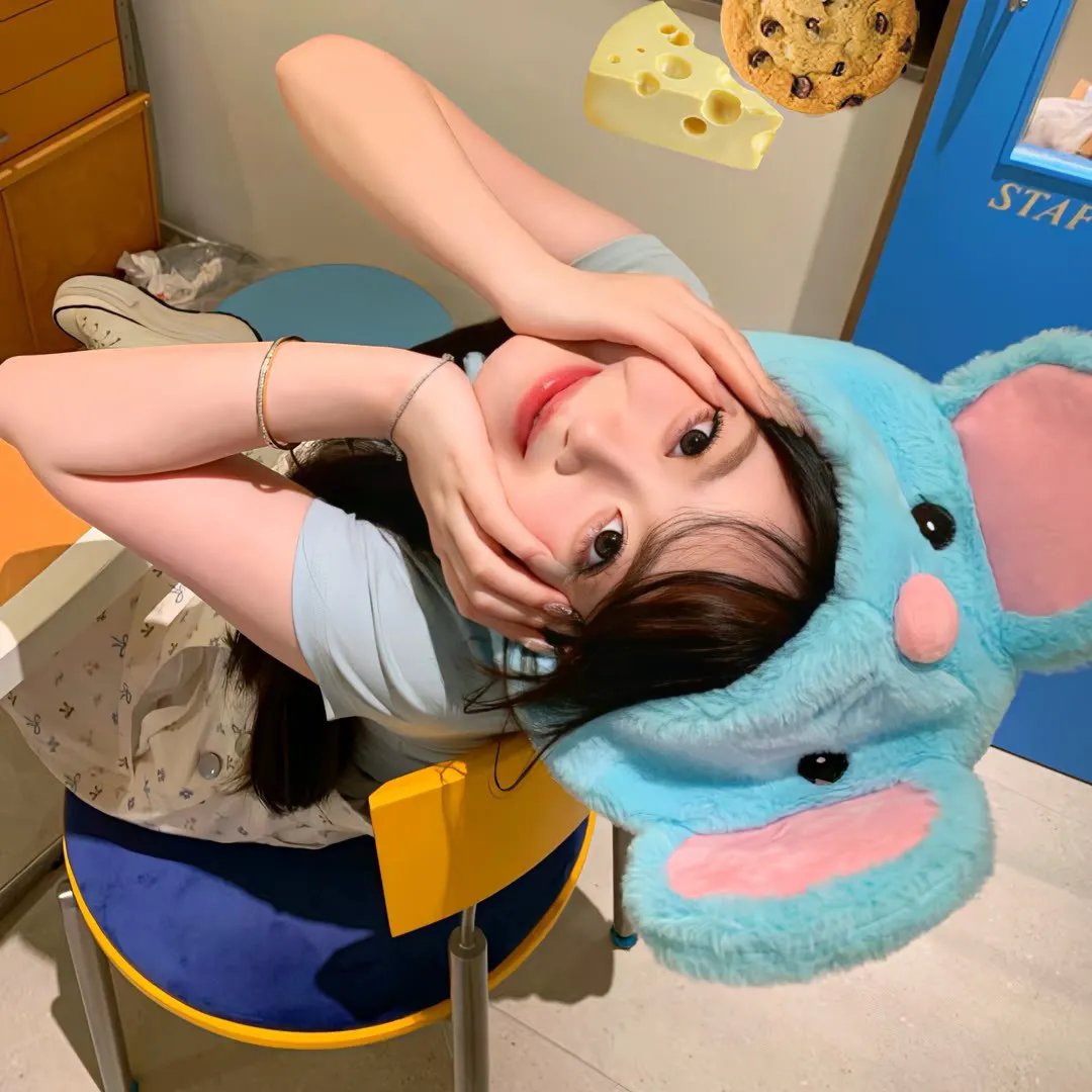沙滩鼠